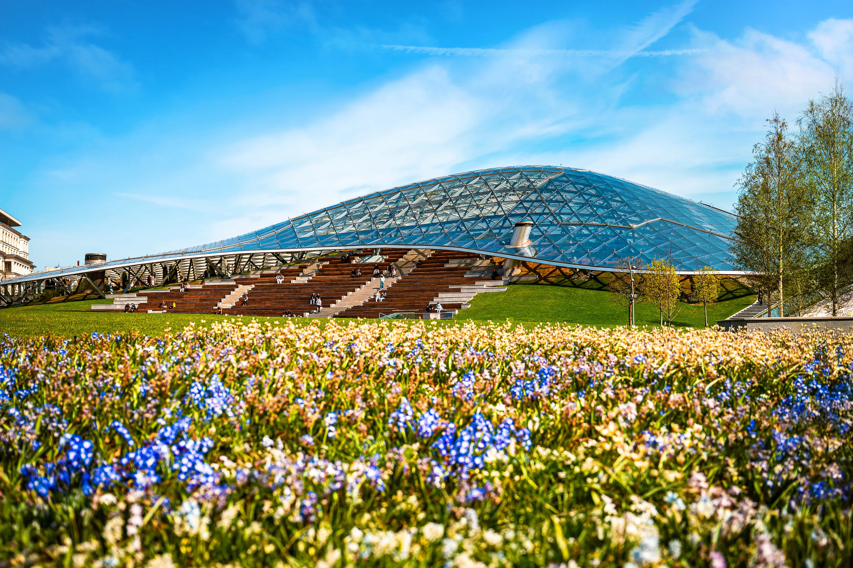 2026.04.22_Цветение и панорамы города_ретушь_0003_РИД от 2026.04.27 (3) (1)