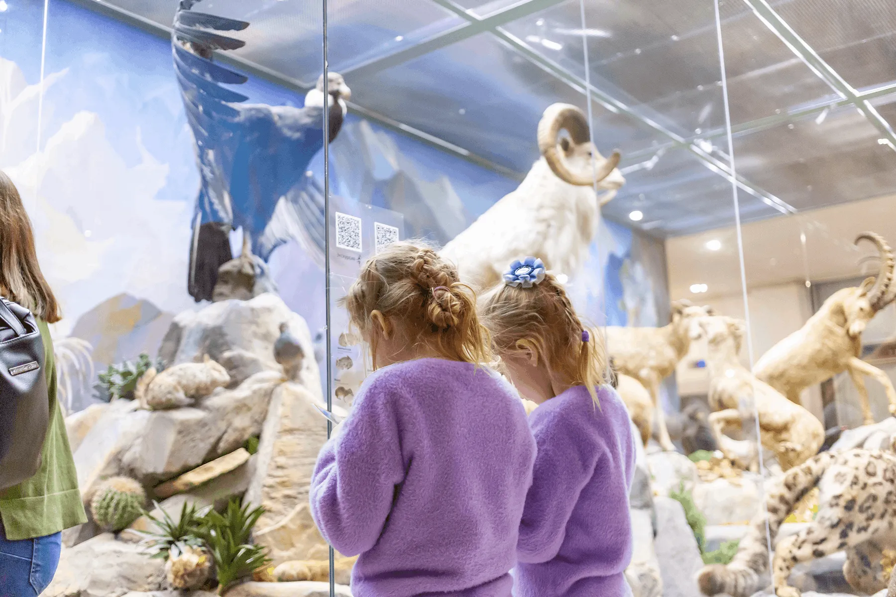 Children in the Darwin Museum
