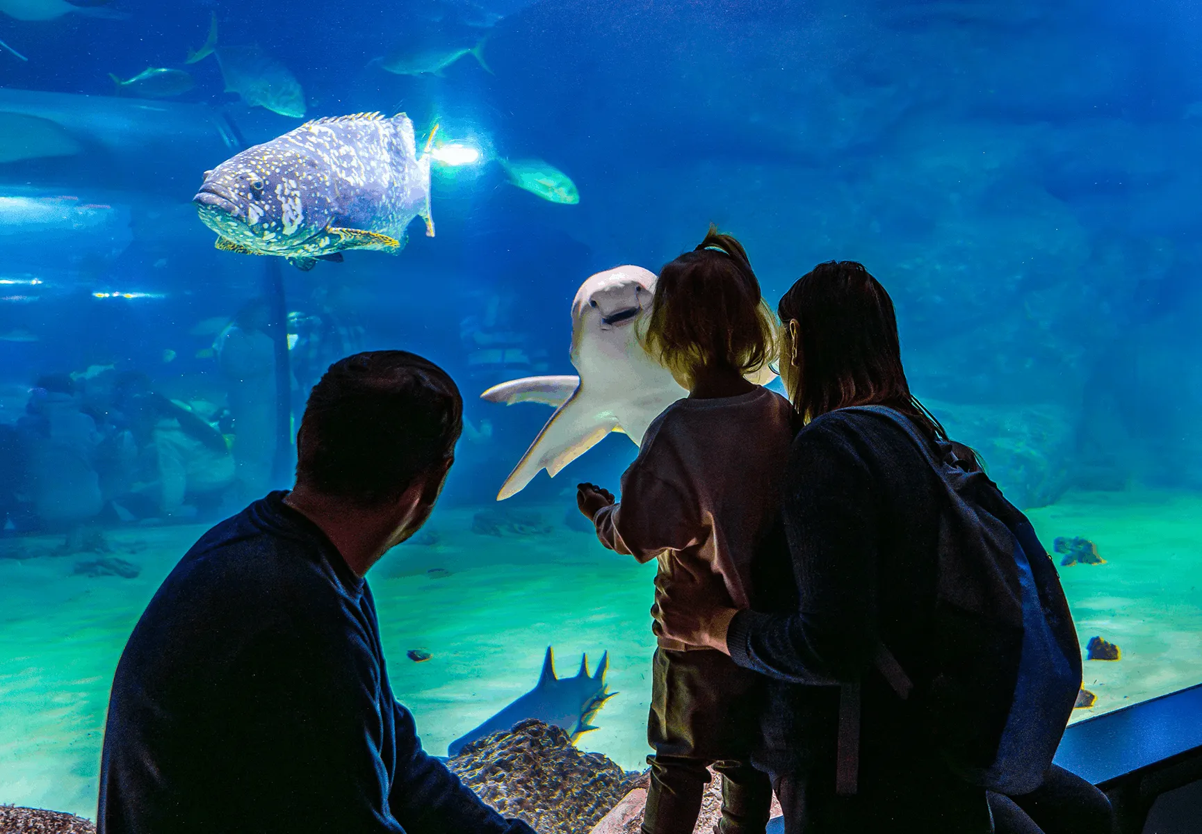 Family watching fish in Moskvarium