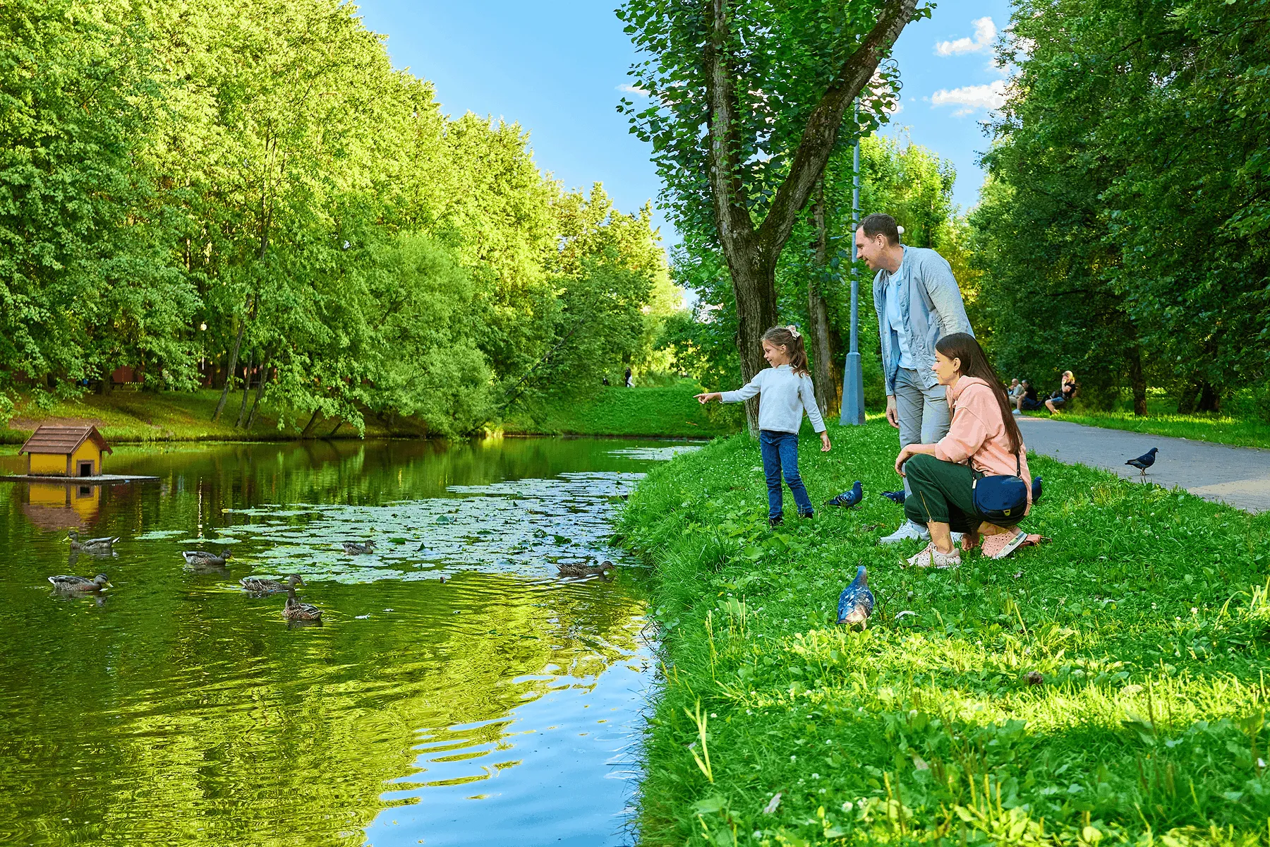 Family feeding ducks in Vorontsovo